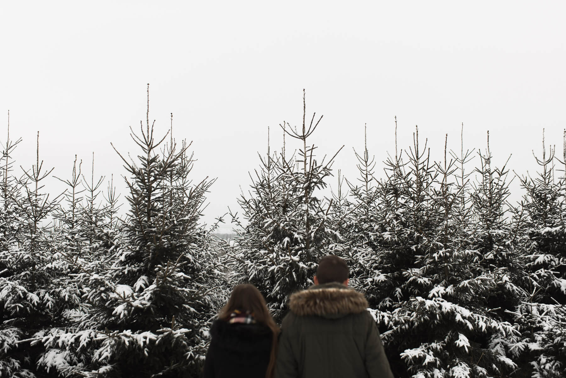 Nadelwald mit Schnee und Paar während Shooting unscharf