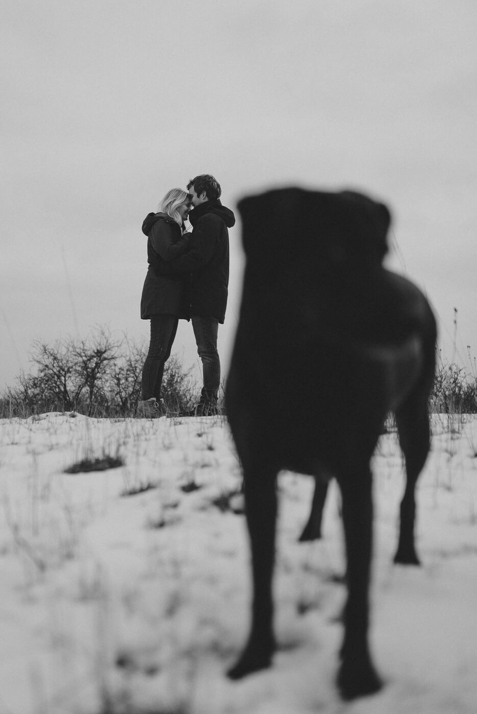 Paar mit Hund in Vordergrund